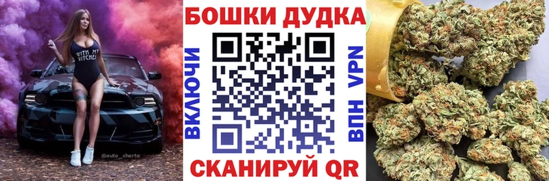 Шишки марихуана OG Kush  закладка  Каменногорск 